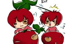 樱桃动漫,描绘青春梦想的彩色画卷